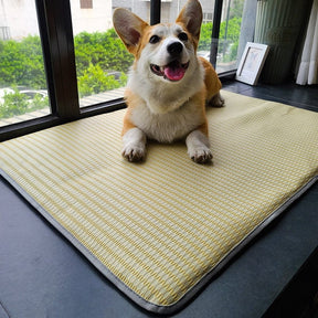 Double-Sided Cooling Pet Mats