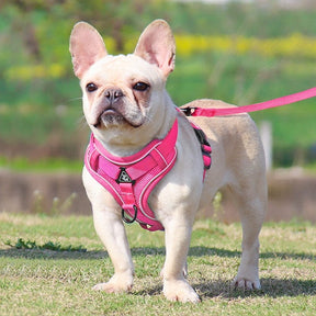 Luminous Pet Leash Harness With Safety Reflective Strip